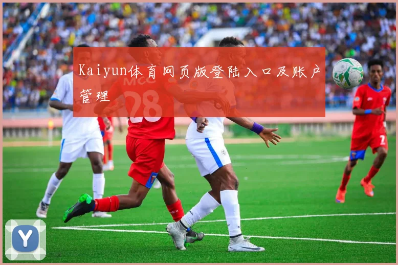 Kaiyun体育网页版登陆入口及账户管理