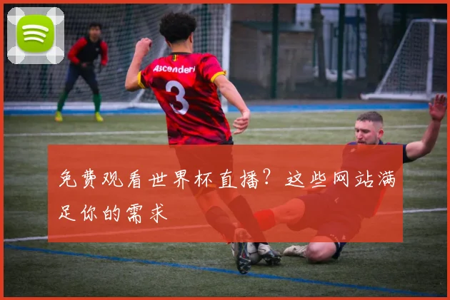 免费观看世界杯直播？这些网站满足你的需求